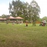 cabanas-en-paso-severino